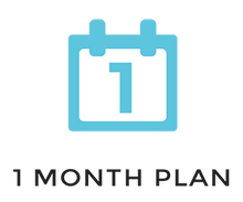 Load image into Gallery viewer, 1 Month Plan