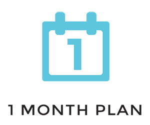 1 Month Plan