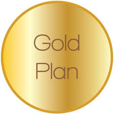 Gold Plus Plan 6 Months